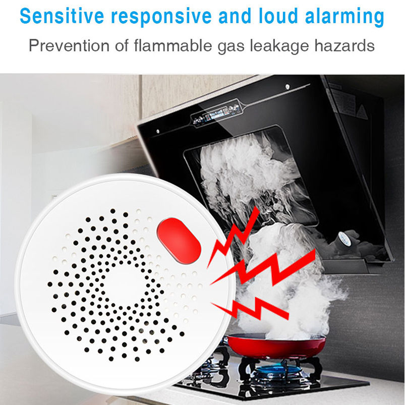 Czujnik gazu ziemnego Tuya Sma – Smart Home Europe recenzja i cena