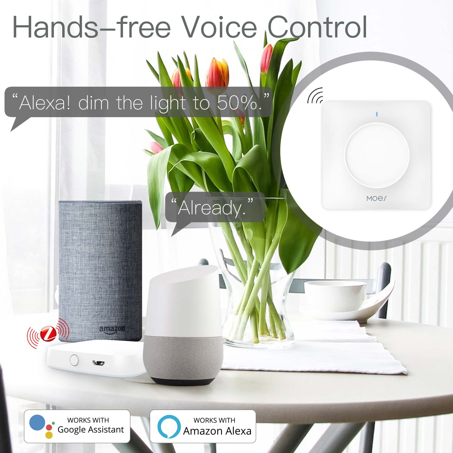 Inteligentny, obrotowy ściemni – Smart Home Google recenzja i cena